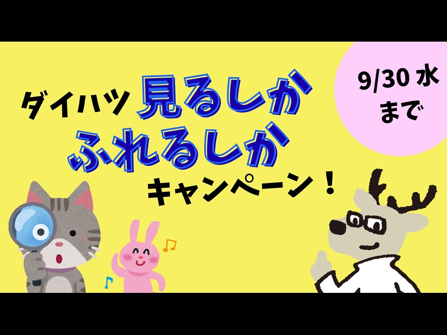見るしかふれるしかキャンペーン🌟